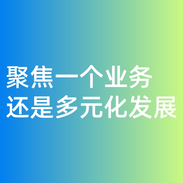 钯碳回收, 聚焦一个业务，还是多元化发展